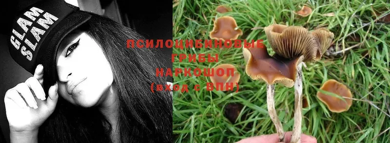 как найти закладки  Борисоглебск  Галлюциногенные грибы MAGIC MUSHROOMS 